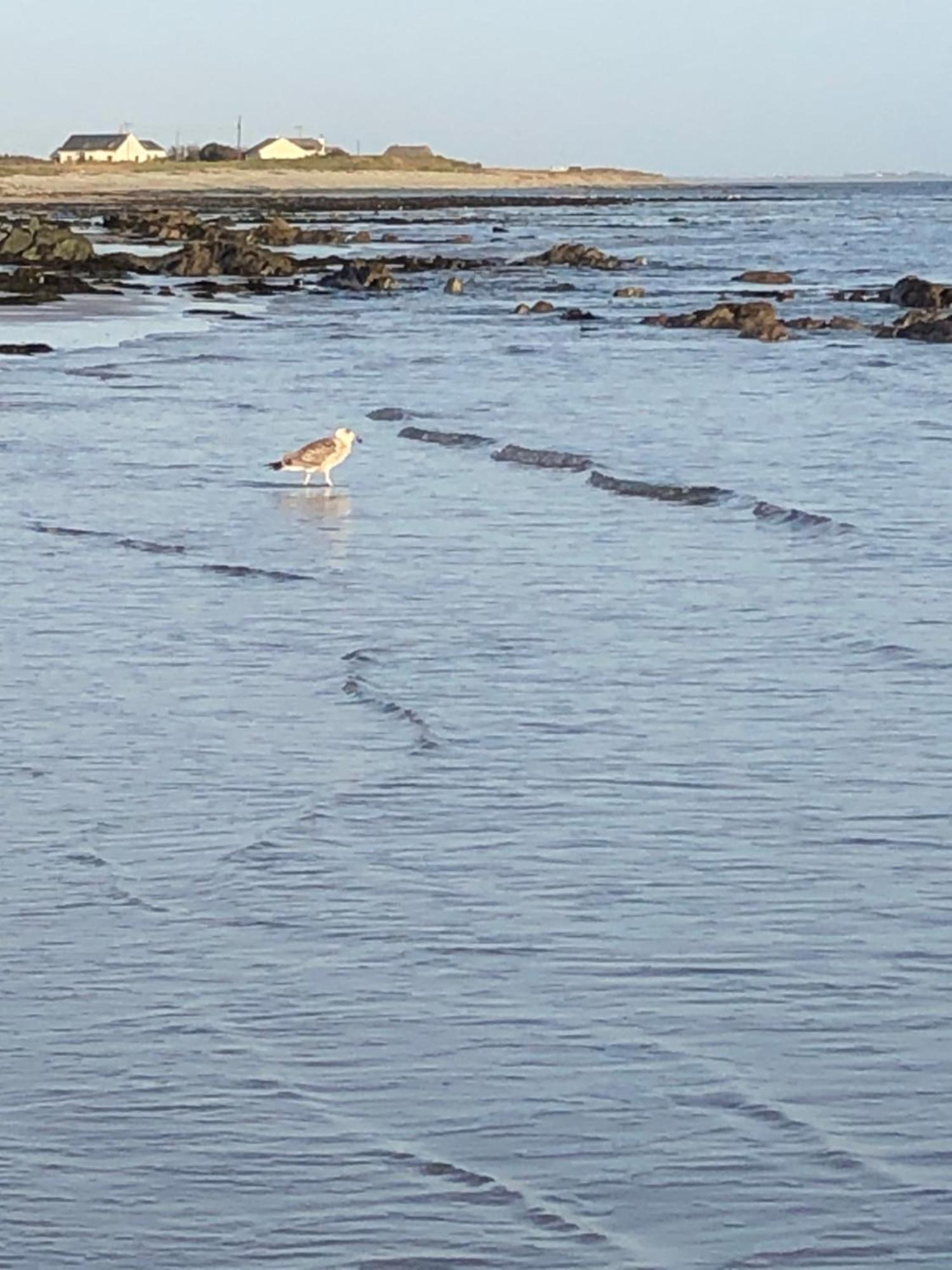 Bluebell Cottage Kilmore Quay Εξωτερικό φωτογραφία